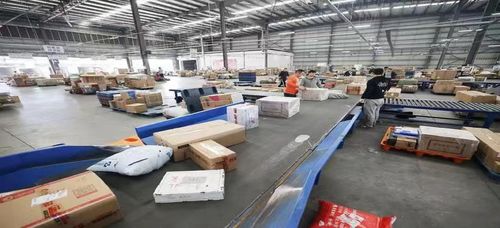 2026年q1國際貨運(yùn)熱門公司盤點(diǎn)與聯(lián)系全攻略